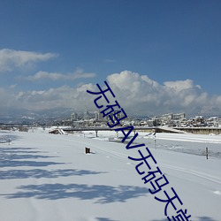无码AV无码天堂