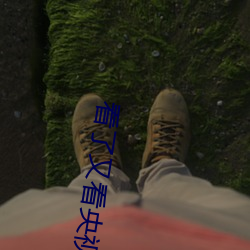 看了又看央视版完整版在线