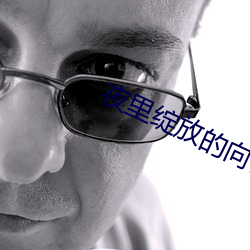 夜里绽(綻)放(放)的(的)向日葵(葵)动画(畫)