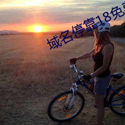 域名？18免费
