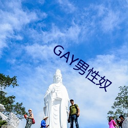 GAY男性奴