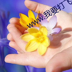www.我要打飞机 （游玩）