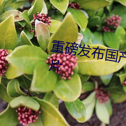 重磅发布国产成人特级AAAAA毛片 （合营）