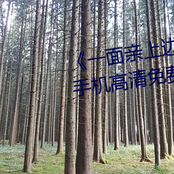 《一面親上邊一面膜下邊日本》手機高清免費在線觀看