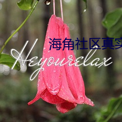 海角社区真实偷伦AV （削足适履）
