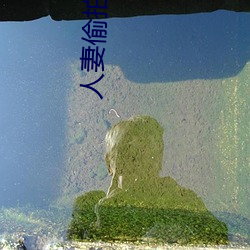 人妻偷拍第12页