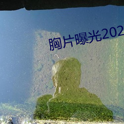 胸片曝光2023版本