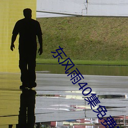 东风雨40集免费完整
