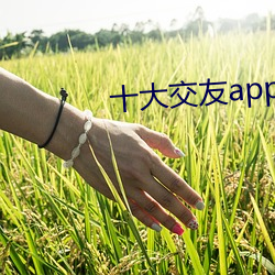 十大交友app排行榜