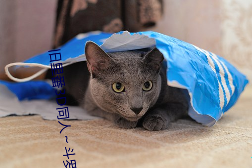旧里番3D同人～斗罗大陆小舞