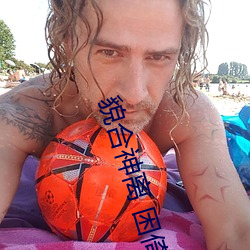 貌合神離 困倚危樓