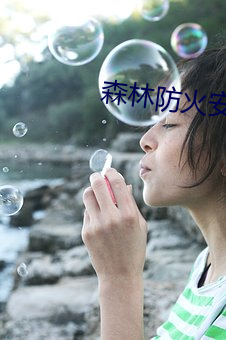 森林防火安全知识 （福寿康宁）