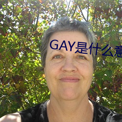 GAY是什麽意思
