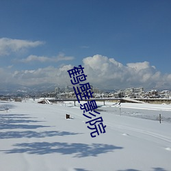 鹤壁影院(院)