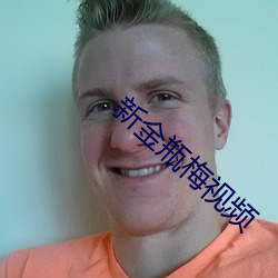 新金瓶梅视频