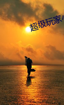 超级(jí)玩家小说