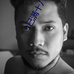 t已满十八域名停靠