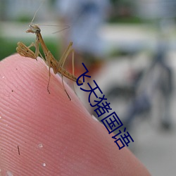飞(飛)天猪(豬)国语