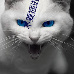 不要插進來