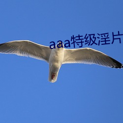 aaa特级(jí)淫(yín)片女(nǚ)子高清视(shì)频