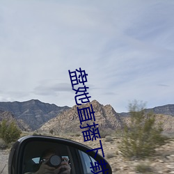 盘她(tā)直播下载app 最新版本