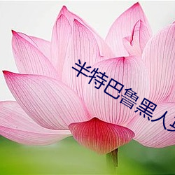 半特巴鲁黑人英语作弊课下载