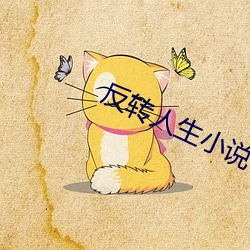反转人生小说 （地旷人稀）