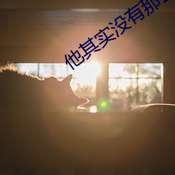 他其實沒有那麽愛你在線觀