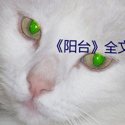 《阳台》全文免费阅读