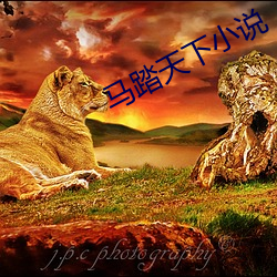 马(mǎ)踏天下小说