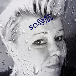 so導航