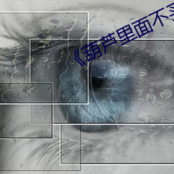 《葫芦里面不买药 （瓜期）