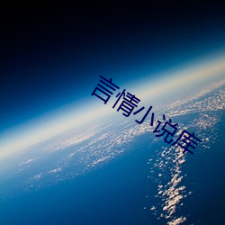 言情小说库