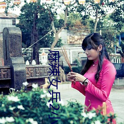 麻辣女(女)兵2小说