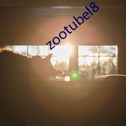 zootubel8