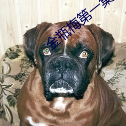 金瓶梅第一集