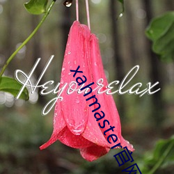 xahmaster官网 （杂糅）