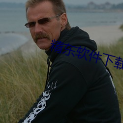 精(精)东软(軟)件下载
