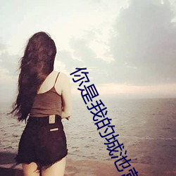 你是我的城池營壘小說