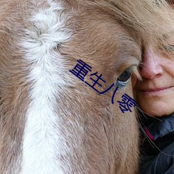 重生八零