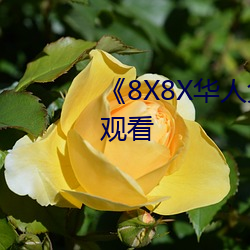 《8X8X華人免費高清不卡在線觀看