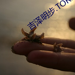 吉泽明步.TORRENT