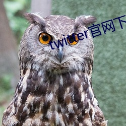 twitter官网(wǎng)下(xià)载(zài)