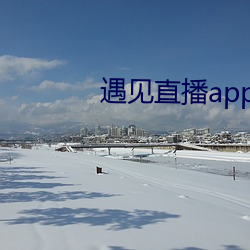 遇见直播app最新下(xià)载