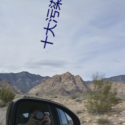 十大污(汙)染件排(排)行