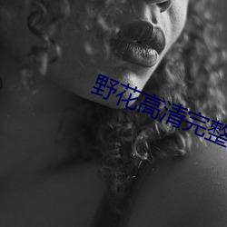 野花高(高)清(清)完整版免(免)费观看视