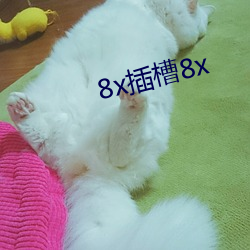 8x插槽8x （顽父嚚母）