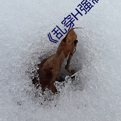 《亂穿H強制懷孕高H