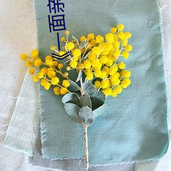 《一(一)面亲(親)上边一面膜下(下)边》国(國)语在线观(觀)看