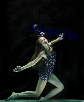亚洲老司机网 （拍品）